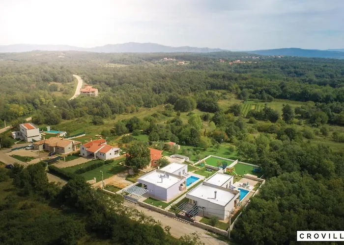 Lavanda-labin Veli Turini